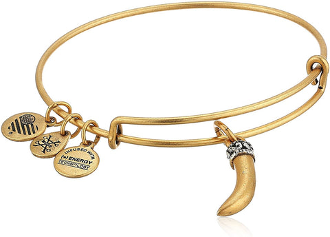 Alex and Ani Horn