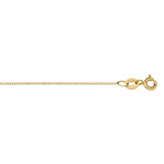 10K Yellow Gold Box Chain